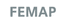 Femap